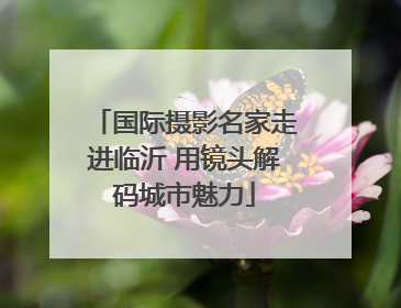 国际摄影名家走进临沂 用镜头解码城市魅力