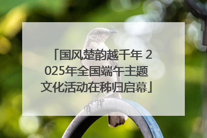 国风楚韵越千年 2025年全国端午主题文化活动在秭归启幕
