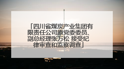 四川省煤炭产业集团有限责任公司原党委委员、副总经理张万松 接受纪律审查和监察调查