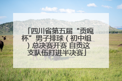 四川省第五届“贡嘎杯”男子排球（初中组）总决赛开赛 自贡这支队伍打进半决赛