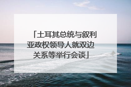 土耳其总统与叙利亚政权领导人就双边关系等举行会谈