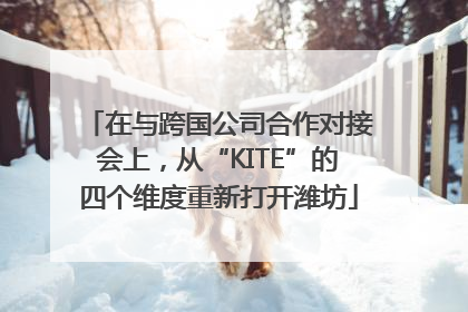 在与跨国公司合作对接会上，从“KITE”的四个维度重新打开潍坊