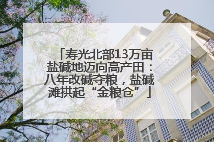 寿光北部13万亩盐碱地迈向高产田：八年改碱夺粮，盐碱滩拱起“金粮仓”