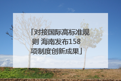 对接国际高标准规则 海南发布158项制度创新成果
