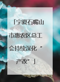 宁夏石嘴山市惠农区总工会持续深化“产改”