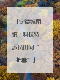 宁德城南镇：科技特派员田间“把脉”