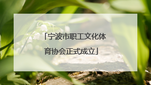 宁波市职工文化体育协会正式成立