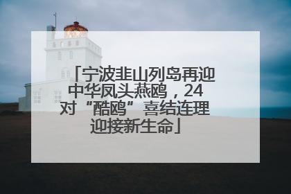 宁波韭山列岛再迎中华凤头燕鸥，24对“酷鸥”喜结连理迎接新生命