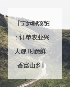 宁远鲤溪镇：订单农业兴大观 时蔬鲜香富山乡