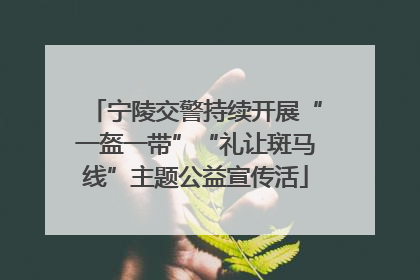 宁陵交警持续开展“一盔一带”“礼让斑马线”主题公益宣传活