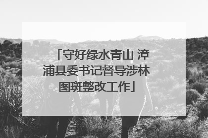守好绿水青山 漳浦县委书记督导涉林图斑整改工作