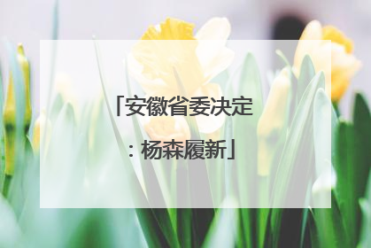 安徽省委决定：杨森履新