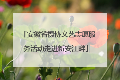 安徽省摄协文艺志愿服务活动走进新安江畔