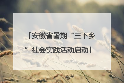 安徽省暑期“三下乡”社会实践活动启动