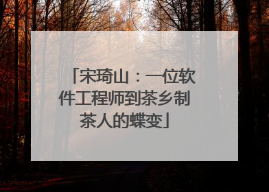 宋琦山：一位软件工程师到茶乡制茶人的蝶变
