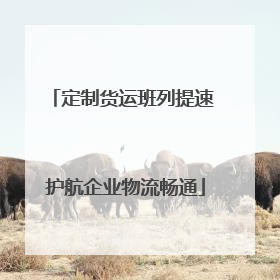 定制货运班列提速 护航企业物流畅通