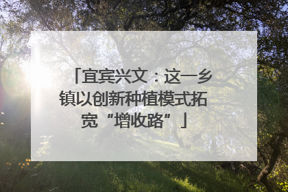 宜宾兴文：这一乡镇以创新种植模式拓宽“增收路”