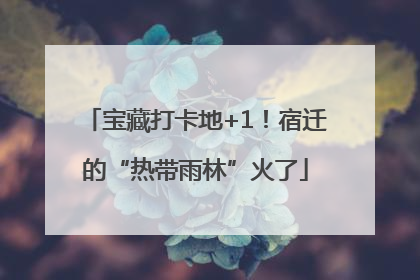 宝藏打卡地+1！宿迁的“热带雨林”火了