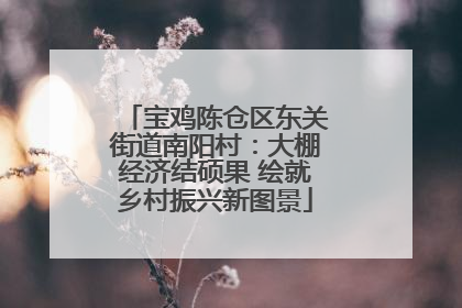 宝鸡陈仓区东关街道南阳村：大棚经济结硕果 绘就乡村振兴新图景