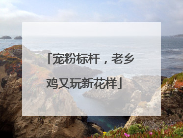 宠粉标杆，老乡鸡又玩新花样
