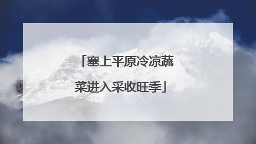 塞上平原冷凉蔬菜进入采收旺季