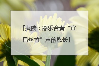 夷陵：器乐合奏“宜昌丝竹”声韵悠长