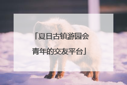 夏日古镇游园会 青年的交友平台