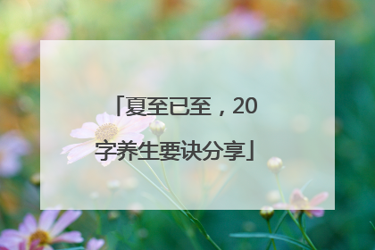 夏至已至，20字养生要诀分享