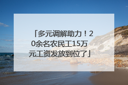 多元调解助力！20余名农民工15万元工资发放到位了