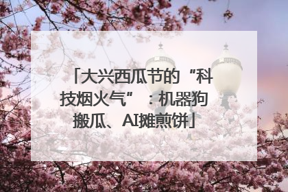 大兴西瓜节的“科技烟火气”：机器狗搬瓜、AI摊煎饼