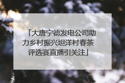 大唐宁德发电公司助力乡村振兴坦洋村春茶评选赛直播引关注