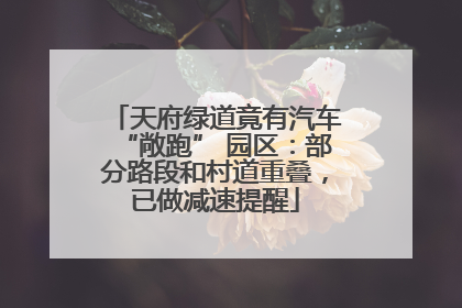 天府绿道竟有汽车“敞跑” 园区：部分路段和村道重叠，已做减速提醒