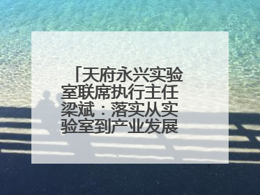 天府永兴实验室联席执行主任梁斌：落实从实验室到产业发展的最后一公里
