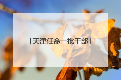 天津任命一批干部