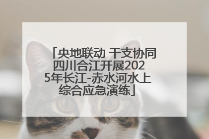 央地联动 干支协同 四川合江开展2025年长江-赤水河水上综合应急演练
