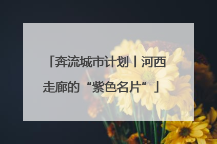 奔流城市计划丨河西走廊的“紫色名片”