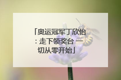 奥运冠军丁欣怡：走下领奖台 一切从零开始