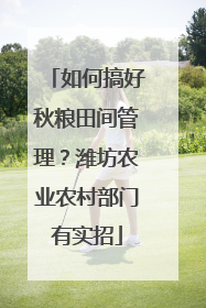 如何搞好秋粮田间管理？潍坊农业农村部门有实招