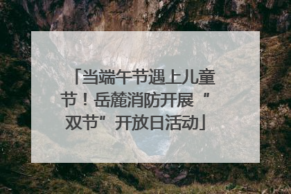 当端午节遇上儿童节！岳麓消防开展“双节”开放日活动