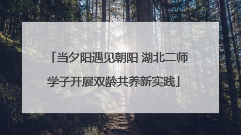 当夕阳遇见朝阳 湖北二师学子开展双龄共养新实践