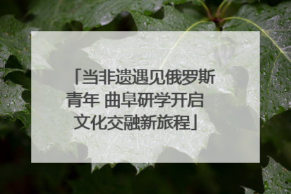当非遗遇见俄罗斯青年 曲阜研学开启文化交融新旅程