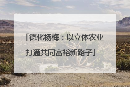 德化杨梅：以立体农业打通共同富裕新路子