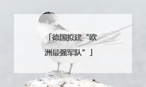 德国拟建“欧洲最强军队”