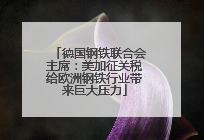 德国钢铁联合会主席：美加征关税给欧洲钢铁行业带来巨大压力