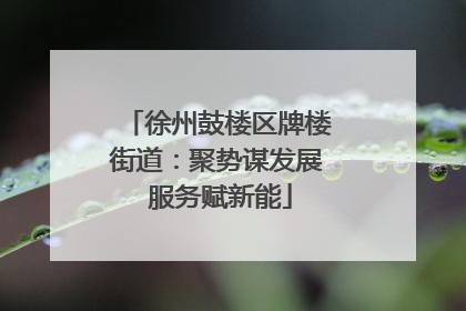 徐州鼓楼区牌楼街道：聚势谋发展 服务赋新能