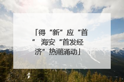 得“新”应“首” 海安“首发经济”热潮涌动