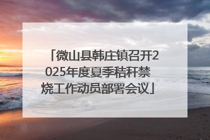 微山县韩庄镇召开2025年度夏季秸秆禁烧工作动员部署会议