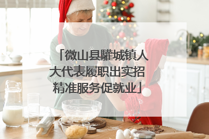 微山县驩城镇人大代表履职出实招精准服务促就业