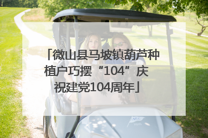 微山县马坡镇葫芦种植户巧摆“104”庆祝建党104周年