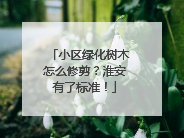 小区绿化树木怎么修剪？淮安有了标准！